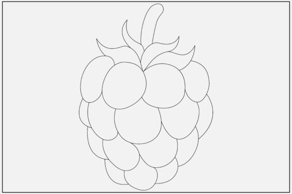 Raspberry Line Art Minimal Design