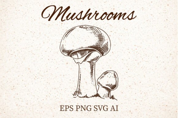 Vintage Mushroom Engraving Clipart